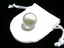 �������Ɏ���Ă��炤