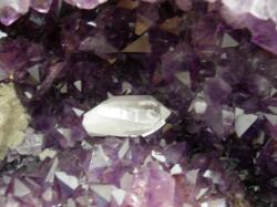 �\�E�����C�g�@����