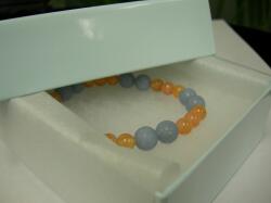 �p���[�X�g�[���u���X���b�g�̕ۊ�1