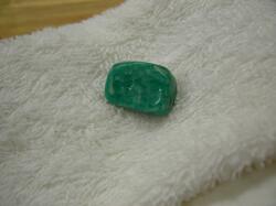 �A�}�]�i�C�g�^���u����������