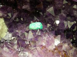 �A�}�]�i�C�g�^���u�����A���W�X�g�ŏ򉻂���