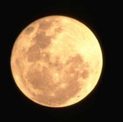 �A���W�X�g�������Ńp���[�`���[�W