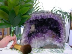 �A���W�X�g�W�I�[�h�i�A���W�X�g�h�[���j�̏�