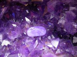 �A���W�X�g���W�I�[�h�ŏ򉻂���