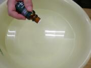 �A���}�I�C����傫����ɓ����