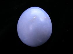 �G���W�F���C�g�G�b�O