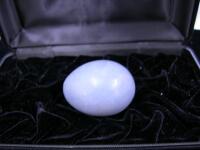 �G���W�F���C�g�G�b�O�^�̕ۊ�