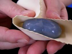 �G���W�F���C�g�n�[�g�^�̉�������2