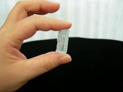 �A�N�A�}����������̐e�w�Ɛl�����w�Ŏ���