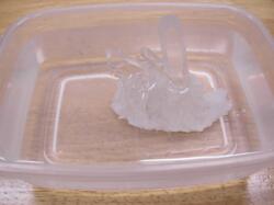 ���ɓ����������N���X�^�[