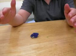 �A�Y���C�g�̏�