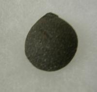 �{�W�X�g�[������