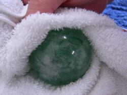 �O���[���t���[���C�g�̊ۋʂ̐��������ꂢ�ɂӂ����