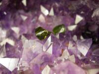 �y���h�b�g���A���W�X�g�ŏ򉻂���