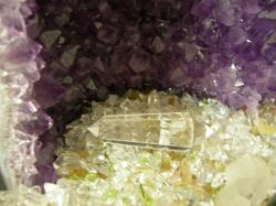 �����t�H�[�Q�������h�̕ۊ�