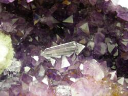 �����t�H�[�Q�������h�̏�