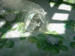 �����s���~�b�h�����ŏ򉻂���2