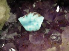 �����}�[���A���W�X�g�W�I�[�h�ŏ�