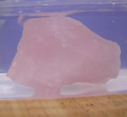 ���[�Y�N�H�[�c���΂̏�