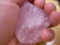 ���[�Y�N�H�[�c���΂̗͂������o��