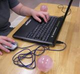 �I�[����ی삷�郍�[�Y�N�H�[�c�����̏�ɂ���