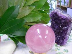 ���[�Y�N�H�[�c�̏�