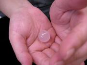 ���[�Y�N�H�[�c����ɕ��