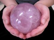 ���[�Y�N�H�[�c����ɕ��2