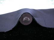 �X�^�[���[�Y�N�H�[�c�̕ۊǁ@���̃x���x�b�g�ł����