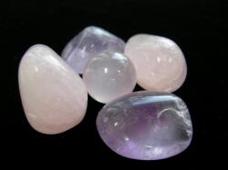 �X�^�[���[�Y�N�H�[�c���A���W�X�g�ƃ��[�Y�N�H�[�c�Ń`���[�W����