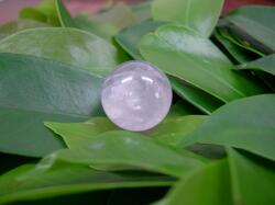 ��ŃX�^�[���[�Y�N�I�[�c���`���[�W����