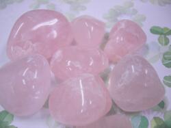 ���[�Y�N�H�[�c�^���u��