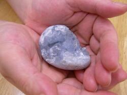 �Z���X�^�C�g