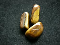 �^�C�K�[�A�C�^���u��