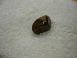 �^�C�K�[�A�C�^���u����������