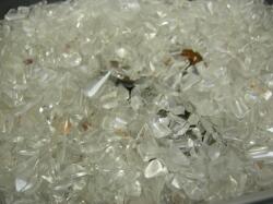 �^�C�K�[�A�C�𐅏��`�b�v�ɖ��߂�