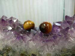 �^�C�K�[�A�C���A���W�X�g�ŏ򉻂���