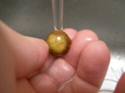 �^�C�K�[�A�C�ۋʂ��